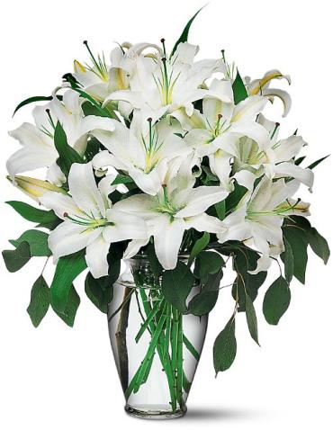 Perfect White Lilies