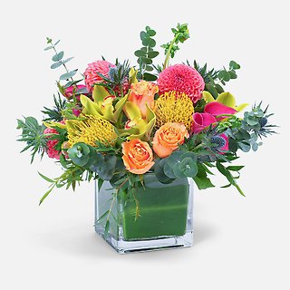 TROPICAL PINCUSHION PROTEA & ROSES