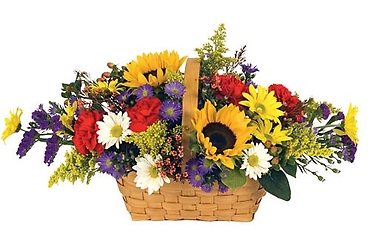Summer Color Basket