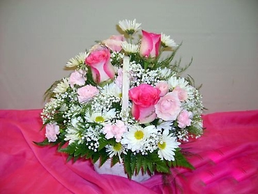 PRETTY BLOSSOMS
