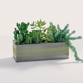 Dad\'s Garden