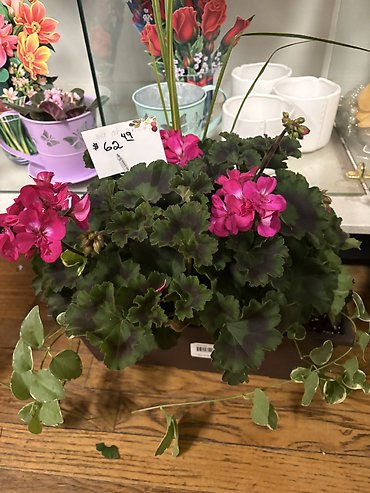 SPECIAL NOW $59.99! OUTDOOR 12\" RECTANGULAR PATIO PLANTER