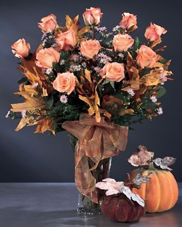 Fancies Autumn Beauty