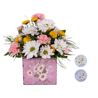 SWEET & SENSITIVE DAISY CUBE