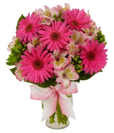 GERBER DAISY PINK BOUQUET