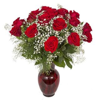 TWO DOZEN RED ROSES ARRANGED MEDIUM STYLE JUST RIGHT!