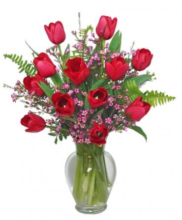 CRAZY FOR YOU TULIPS!