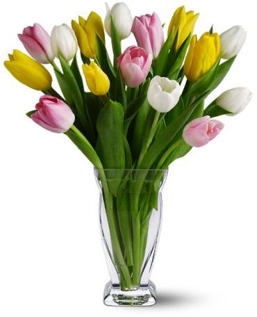 Fifteen Mixed Tulips