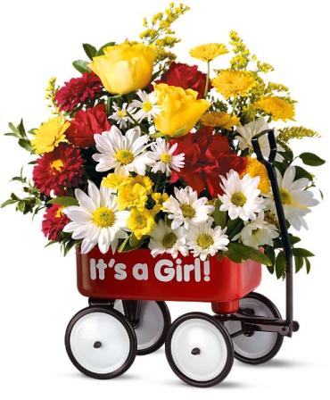 Baby\'s First Wagon For Girl