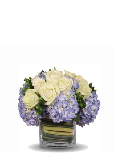 Hydrangea And Roses To Delight