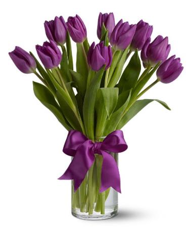 Passionate Purple Tulips