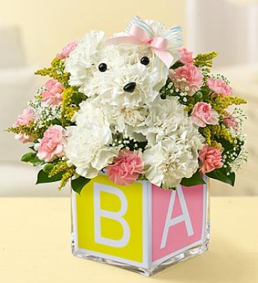 BABY GIRL A DOG ABLE