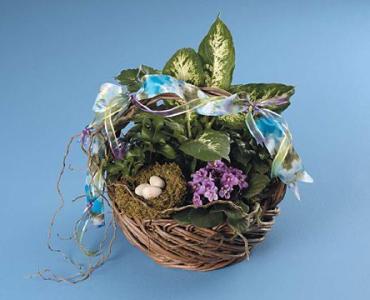 Basket Garden with Bird Nest Accent