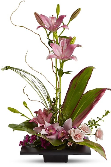 Imagination Blooms With Lilies