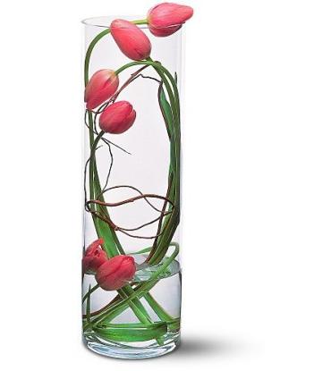 Tulip Surprise