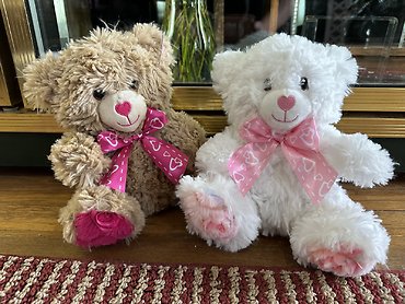 SWEET PINKY HEART BEAR 8\" EACH $9.99