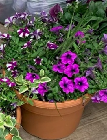 ROUND OUTDOOR PLANTER 12\"