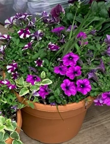 ROUND OUTDOOR PLANTER 12\"