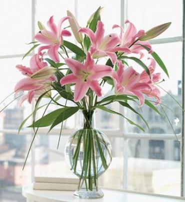Pink Oriental Lily Bouquet