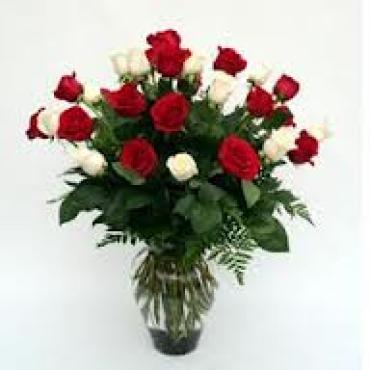 LOVES FIRST KISS 2 DOZEN RED & WHITE LONG STEM ROSES