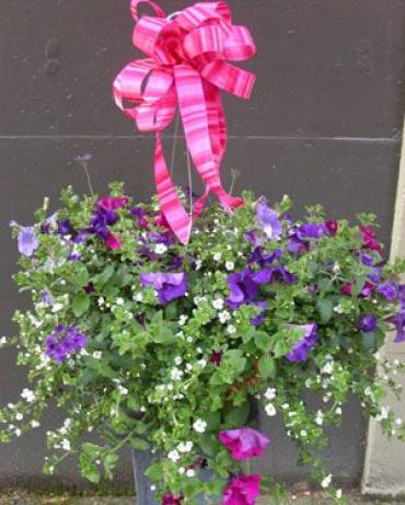 OUTDOOR HANGING MIXED FLOWER 10\" BASKET