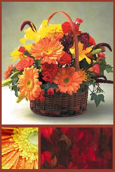BLOOM - Autumn Flowers