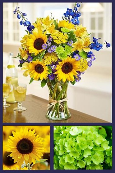 Sunflower Fields - Autumn Flowers