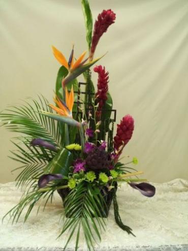 TROPICAL SURPRISE WITH BIRDS OF PARADISE