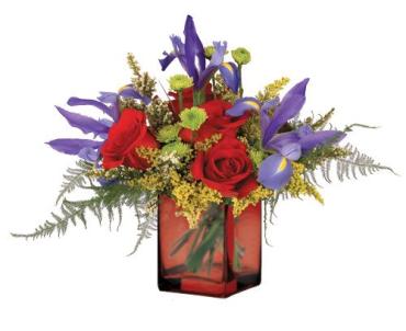 Rose Iris Cube