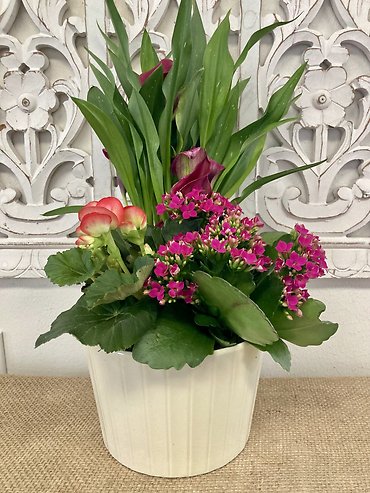 CALLA LILY DISH GARDEN FOR MOM