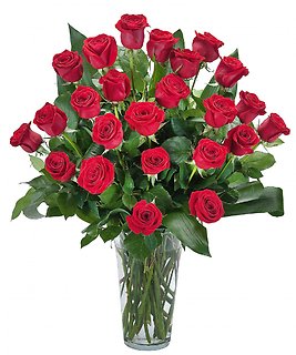 GRANDE 24 RED ROSES FOR YOU!