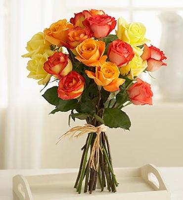 Multicolored Roses - 15 Stems