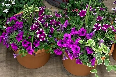 ROUND OUTDOOR PLANTER 12\"