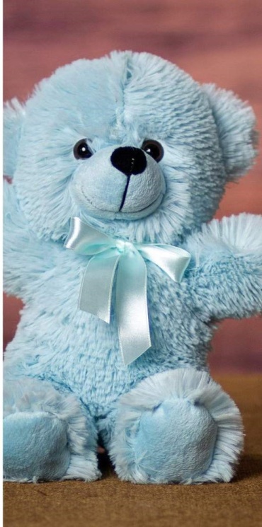 BABY BLUE HUG BEAR 12\"