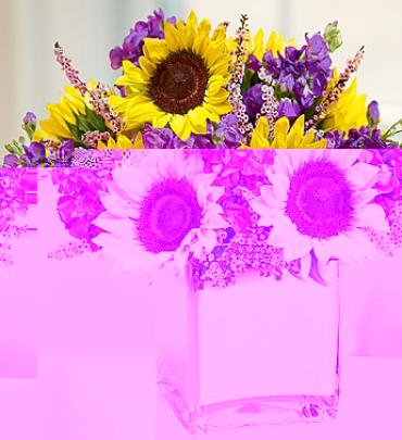 MODERN SUNFLOWERS FOR YOU