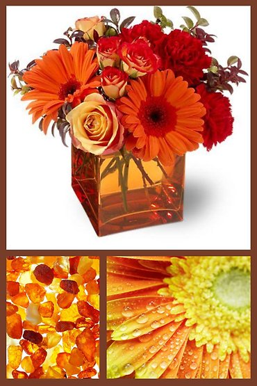 FIREY SUNSET - Autumn Flowers