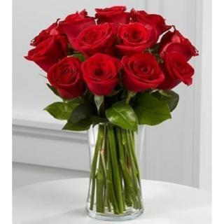 12 RED ROSES SIMPLE AND ELEGANT