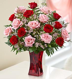 EIGHTEEN LOVING PINK AND RED ROSES