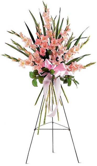 Gladioli Spray