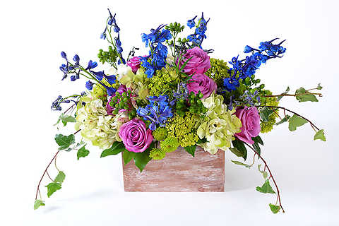 FLOWER BOX BEAUTIES