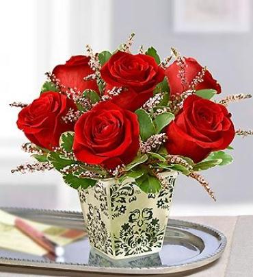 SULTRY RED ROSES