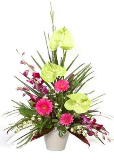 TROPICAL BOUQUET DELIGHT
