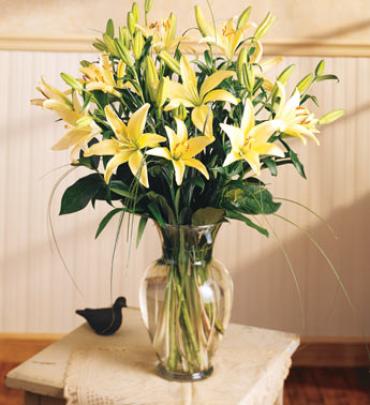 Lilies Arranged In Sympathy