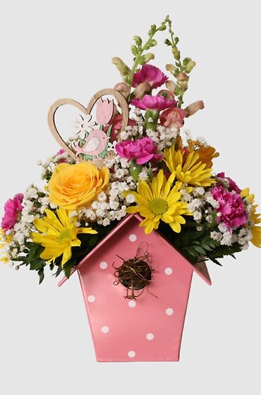 BEAUTIFUL & BOLD  BIRD HOUSE FOR MOM
