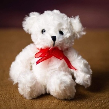 WHITE CURLY HUG BEAR 7.5\"