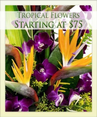 TROPICAL FLOWER ARRANGEMENTS MADE FOR YOU