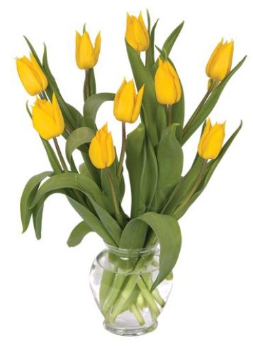 Nine Yellow Tulips
