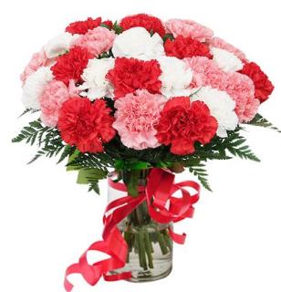 24 LOVELY CARNATIONS FOR YOU