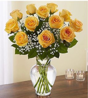 One Dozen Yellow Roses In February