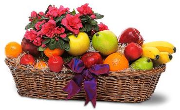 Plant and Fruit Basket